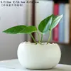 Cuenco Maceta de loto Maceta de cerámica Maceta suculenta Maceta de gran diámetro sin orificio Maceta hidropónica para plantas verdes Maceta especial Maceta doméstica Jarrón grande