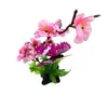Cozinha do Município Prato de Banquete do Município Flores e Grama Decorativas Vegetais Frios Prato de Sashimi Prato Decorativo Prato Decorativo Borda de Sushi Prato Decorativo Flor