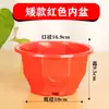 Olla Transparente Gruesa de Plástico Libre de Agua, Redonda, Absorbente de Agua, Automática, Perezosa para Plantas Verdes