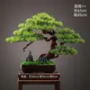 Novo Bonsai Artificial Estilo Chinês Inspirado em Zen Pinheiro Acolhedor e Pinheiro Arhat para Decoração de Escritório, Sala de Estar e Hall de Entrada