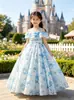 Vestido de Chifón de Princesa para Niña, Estilo Coreano, Vestido Largo Floral Suave y Elegante para Vacaciones en la Playa y Viajes