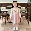 Vestido de Tricô Infantil Aekyung para Meninas Coelhinho Fofo Falso Duas Peças Outono/Inverno Novo Estilo Barra com Babado Manga Longa Vestido de Lã