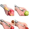 Nuevo Extractor de Semillas de Espino Blanco, Extractor de Semillas de Dátil Rojo, Herramienta Extractor de Semillas de Pera, Extractor de Semillas de Fruta Multifuncional de Acero Inoxidable para el Hogar