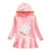 Vestido Moletom com Capuz Novo para Crianças Outono e Inverno 2023 Menina Cartoon Bebê Transfronteiriço Casual Estilo Ocidental