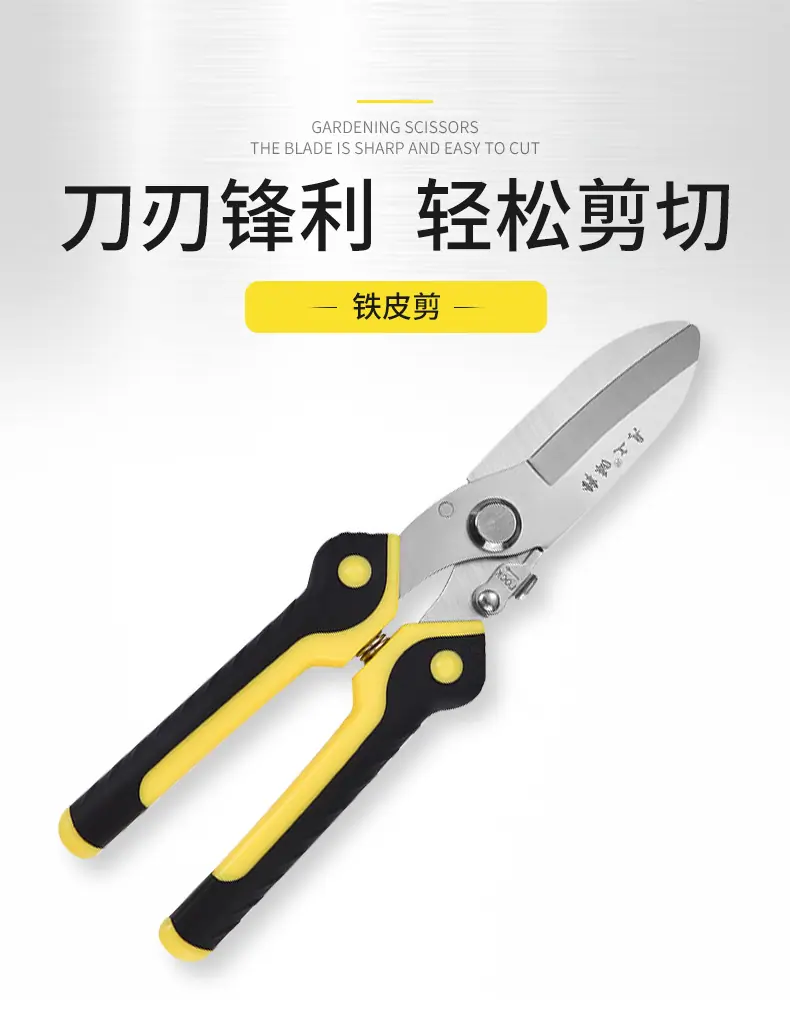 中达_01
