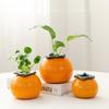 Grande Gedali Desktop Ornamentos Decorativos Recipiente Criativo Vaso Laranja Cerâmica Vaso de Flores Hidropônico Verde Arochus Planta Hidropônica