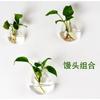 Jarrón colgante de vidrio transparente, creativo, para pared, para pecera, arreglos florales colgantes, florero verde para plantas acuáticas.