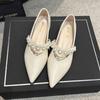 Zapatos Mary Jane de tacón cuadrado y punta puntiaguda para mujer, primavera 2025, nuevos zapatos elegantes de estilo francés con tiras de perlas y tacón bajo.