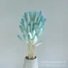 Capim rabo de coelho tie-dye com flor seca, buquê tie-dye com grama decorativa para presente manual, flor da Amazônia, Dia da Mulher 38, Flor Eterna