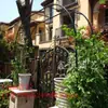 Soporte de Flores de Hierro Forjado Grueso de 19 mm Arco Soporte Guía de Carretera Planta Trepadora Rosa Uva Lufa Planta Trepadora Arco