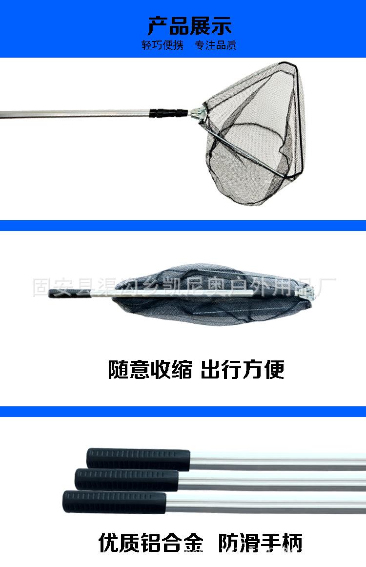详情 拷贝