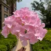 5 Hortensias Macaron, 135 Piezas por Manojo, para Decoración de Salón de Bodas, Arco de Boda, Sesión de Fotos, Pared de Flores y Guía de Pasillo