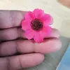 Flor Artificial Xiaoyu Flor de Seda Crisantemo Pequeño Girasol Flor Gesang Flor para Tocados Flor DIY Flor Pequeña Fabricante Stock Disponible
