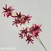 Flor de simulación rama alta Lycoris radiata flor de línea material floral arreglo floral destacado hilera de flores base Lirio de los valles Flor artificial boda mayoreo