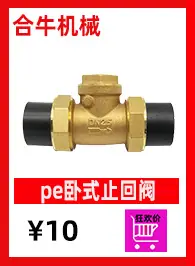 195-266卧式止回阀
