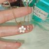 Collar de Flor de Melocotón de Nácar para Mujer, Nueva Moda Primavera y Verano, Estilo Dulce Ins, Lujo Ligero, Cadena de Clavícula de Alta Gama
