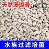 Material Filtrante de Osso de Coral Natural Caixa de Filtro para Aquário e Aquicultura Tanque de Frutos do Mar Tanque de Peixes Dedicado para Cultivo de Bactérias Areia de Coral Ajuste de pH