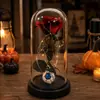 Adorno de Flor Preservada en Cúpula de Vidrio para Halloween Rosa Calavera Araña Luz Decorativa Transfronterizo Vacaciones Mesa Ambiente Fiesta