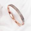 Pulseira de Titânio Moda Luxo Leve Diamante Completo Retrô Cor Diamante Barro Livre de Cor Pulseira Versátil Joias Ouro Rosa Nicho
