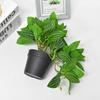 Nuevos productos transfronterizos: simulación de planta verde colgante, pequeña maceta, flor artificial, simulación de flor, decoración de interiores para el hogar, la sala de estar, el dormitorio, adornos.