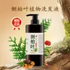 Fórmula Pura Gerando Efervescência Platycladi Saphora Lam Shampoo Vegetal Óleo de Gengibre Naring Controle de Oleosidade Caspa Antialérgico Shampoo Tide