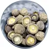 Hongos Shiitake Secos Sin Desecante, de Carne Gruesa, Sin Raíz, Champiñones Frescos de Granja, Flores de Cordyceps al por Mayor