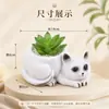Adornos de Macetas de Vinilo de Gato Lindo Macetas para Suculentas de Escritorio Adornos de Decoración de Oficina Regalos Creativos Al Por Mayor