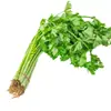 Colección Wholesale del Fabricante de Semillas de Verduras para Cuatro Estaciones para Huertos Caseros, Verduras en Macetas de Balcón, Semillas de Frutas y Semillas de Verduras Hidropónicas