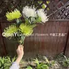Almofada de Alfinetes Flor Simples Galho Único Almofada de Alfinetes Sol Flor Simulação Flor Simulação Flor Sense Avançado Realista Transfronteiriço Amazon Atacado Flor Artificial