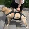 Cinto de Suporte para Barriga de Cachorro Transfronteiriço, Cinto de Reabilitação para Cães Deficientes, Cães Idosos, Cinto Auxiliar para Passeio de Animais de Estimação para Subir e Descer Escadas