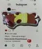 Soporte Metálico Recto de Resina Epoxi Adecuado para Perros de Pelo Largo, Clip Adhesivo Trasero para Teléfono Caricatura Acrílico Plegable Perro Dachshund