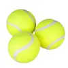 Pelota de Juguete para Perros, Herramienta de Entretenimiento Propio para Mascotas, Adecuada para Border Collies, Golden Retrievers, Corgis, Pelota Resistente para Masticar, para Entrenamiento y Limpieza Dental, Pelota de Tenis de Goma