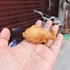 Palillos de madera maciza de calabaza, hechos a mano, con mango tallado de madera Taihang Yabei, 2022