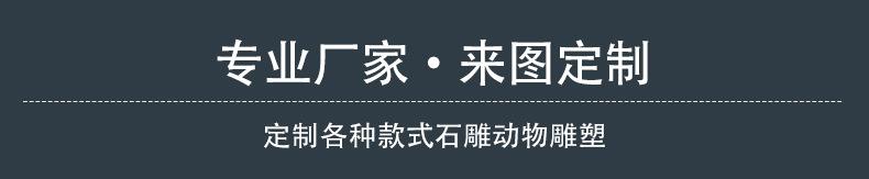 专业厂家,来图定制标题.jpg