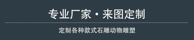 专业厂家，来图定制标题.jpg