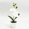 Bonsái de orquídea Phalaenopsis, flores artificiales y plantas verdes, adornos decorativos de alta gama, flores artificiales, plantas verdes de alta gama, flores artificiales