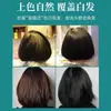 Planta de tinte para el cabello transfronteriza crema pura para el cabello en casa color blanco de moda suave fábrica