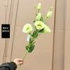 Lisianthus Flor Seca Simulada Atacado Estilo Europeu Flores de Seda de Mão Comércio Exterior Casamento Sala de Estar Decoração de Casa Flores Artificiais