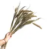 Pinha Flores Secas Artesanais Adereços de Fotografia Materiais Florais DIY Decorações para Sala de Estar Presentes de Natal