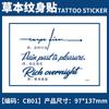 Pegatina de tatuaje de hierbas con diseño de planta de jugo, nombre en inglés, para hombres y mujeres, impermeable, de larga duración, simulación