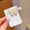 Pinza Lateral para el Cabello de Dopamina de Gama Alta, Pasador Lindo de Estilo Nicho para Mujeres, Exquisita Pinza para el Cabello para Niñas de Yiwu