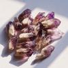 Fornecimento de fábrica de pedra bruta de ametista, espinha dorsal de cristal roxo claro, pedra bruta de aromaterapia, pedra de expansão, ornamentos decorativos de bonsai