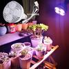 Luz de relleno para plantas par PA 38, foco para crecimiento de plantas, luz LED de espectro completo para flores suculentas, interior transfronterizo