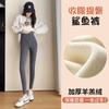 Calça de Nove Pontos para Outono, Leggings Femininas para Roupa Externa, Calça com Controle de Barriga, Calça Esportiva de Yoga, Estilo Estudantil, Frete Grátis