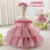 Vestido para Niñas al por Mayor Vestido para Niños Falda con Apliques Falda Esponjosa Vestido de Fiesta y Actuación Vestido de Princesa con Lazo
