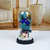 Flores Conservadas, Flores Secas, Mini Ramo, Caja de Regalo con Flores de Jabón de Rosa, Adorno de Cúpula de Cristal, Regalo de Cumpleaños para Novia