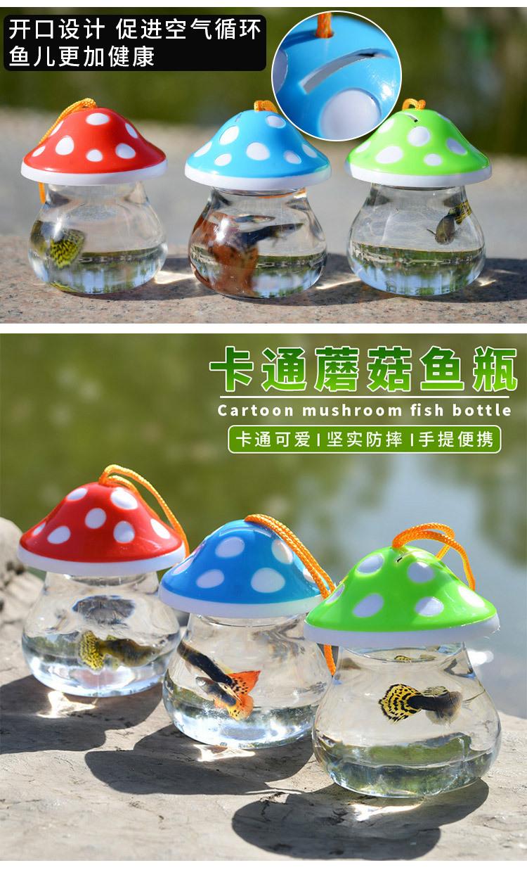 蘑菇_04.jpg