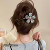 Pinza para el pelo de pico de pato, fresca y femenina, para uso diario, versátil para peinar, sensación popular en internet, cómoda en la cabeza, accesorio para el cabello