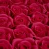 Fábrica de Origen Flor de Jabón de Tres Capas con Base Cabeza de Flor Rosa Simulada Flor de Agua Flor de San Valentín Cabeza de Flor Preservada