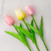 Tulipa de flores artificiais Ins Style Sala de estar Mesa de jantar Enfeites Decoração de flores falsas Buquê de flores secas Fotografando adereços de fotografia de flores
